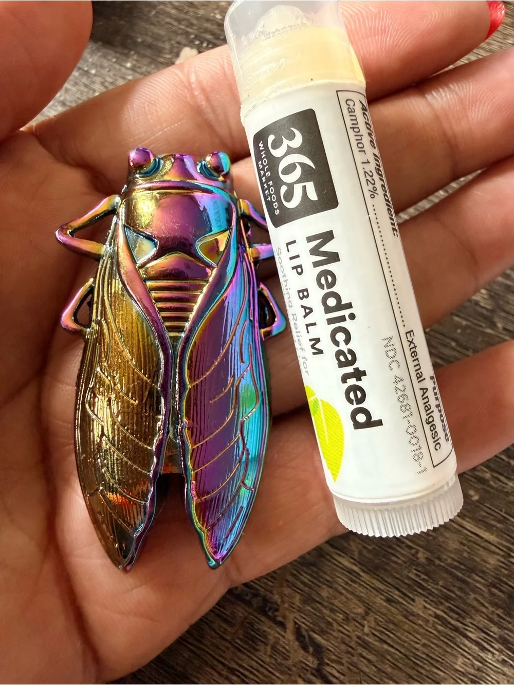 Handmade Iridescent Cicada Brooch Pin